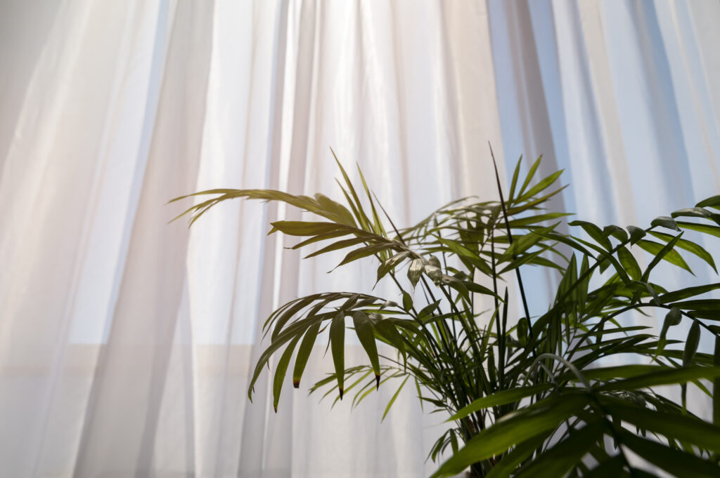 sheer curtain